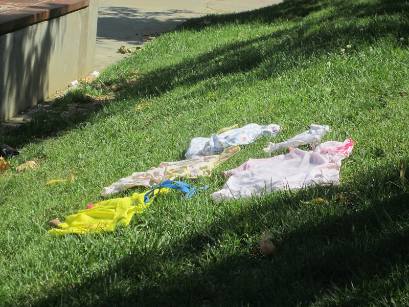 OĞLAK KIZLARI Kandilli İskelesi, Anadolu kavağı ve Bebek