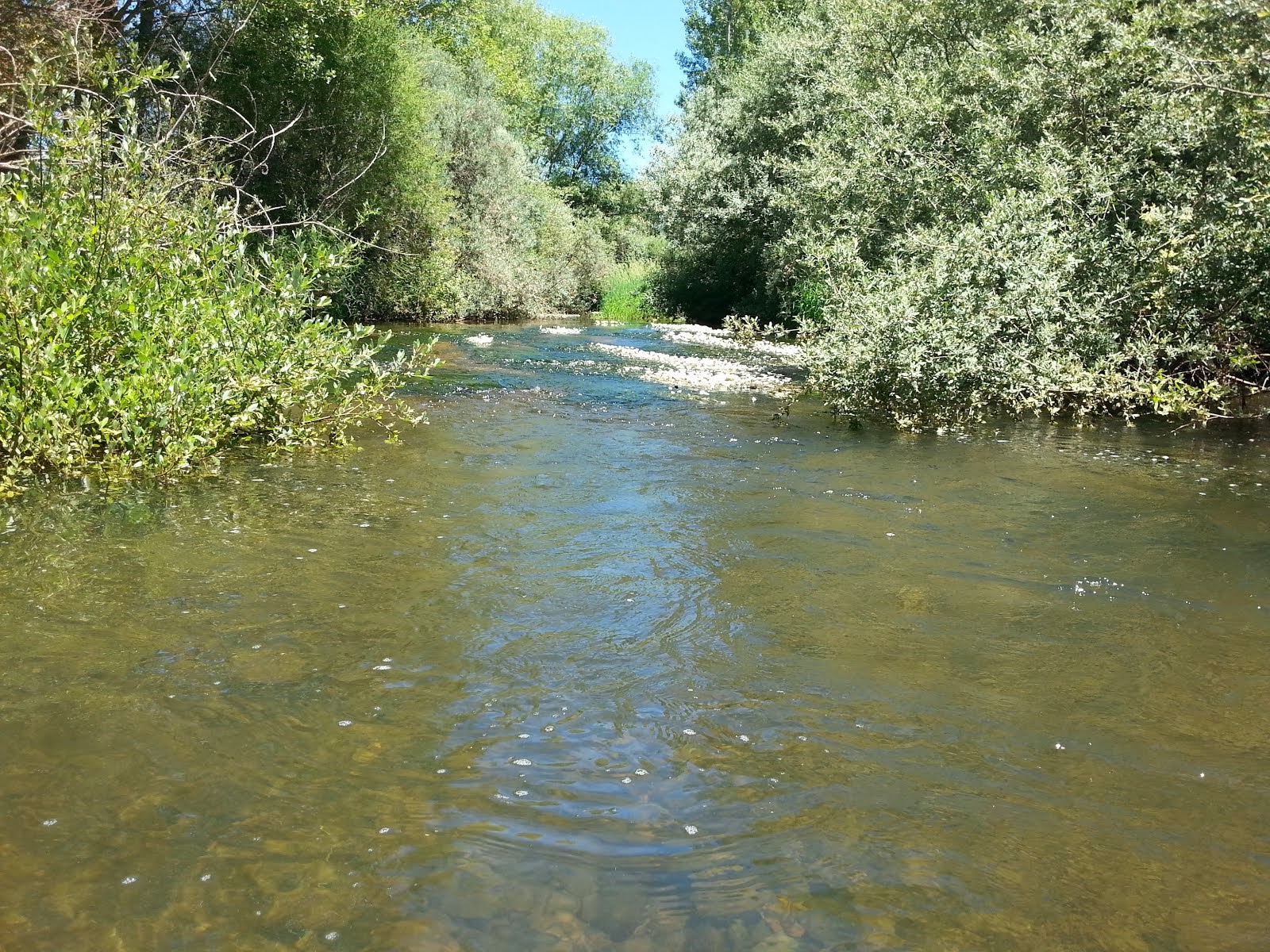 MONDREGANES, RIO CEA