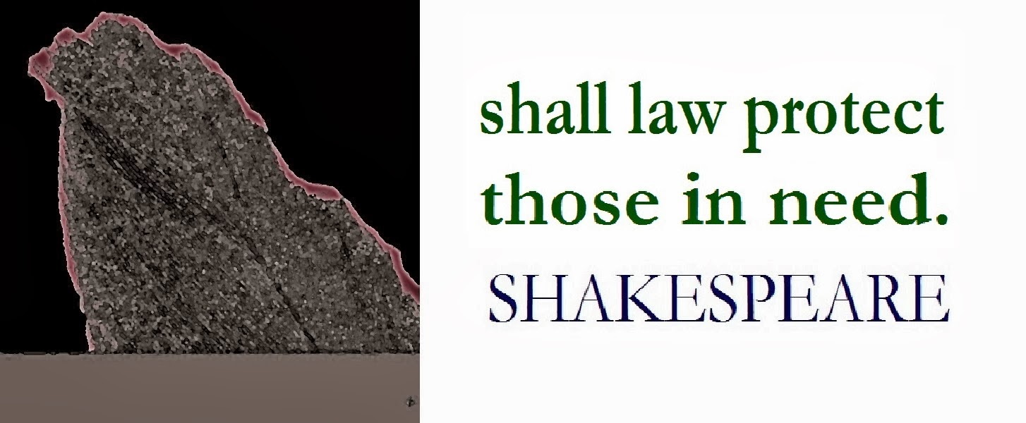 SHAKESPEARE new saying law need poverty nelson fifa wc 2010 wc 2014 southafrica brasilien APARTHEID