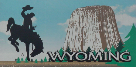 wyoming horse bucking license steamboat plate stub summing farlow devil tower