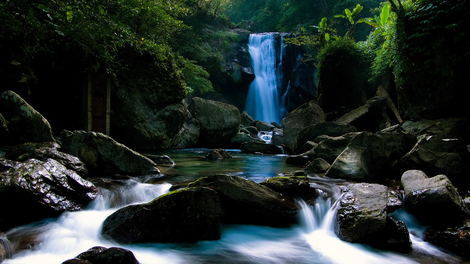 42+ Nature Pic For Wallpaper Hd Background