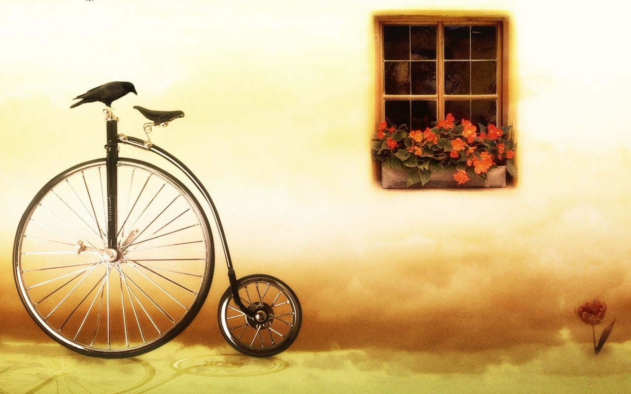 http://2.bp.blogspot.com/-STlM-n-ceNU/UCp_CNLCZvI/AAAAAAAABkI/W6wS8R4UBjA/s1600/Unique+Wallpaper+8.jpg