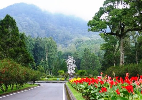 Kebun Raya Eka Karya di Bali Kebun Raya Eka Karya Bedugul Salah Satu Objek Wisata Alam di Bali