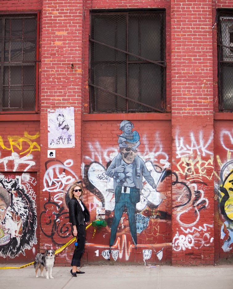 Graffiti wall, Williamsburg Brooklyn, all black outfit, leather & denim, mini australian shepherd blue merle canine