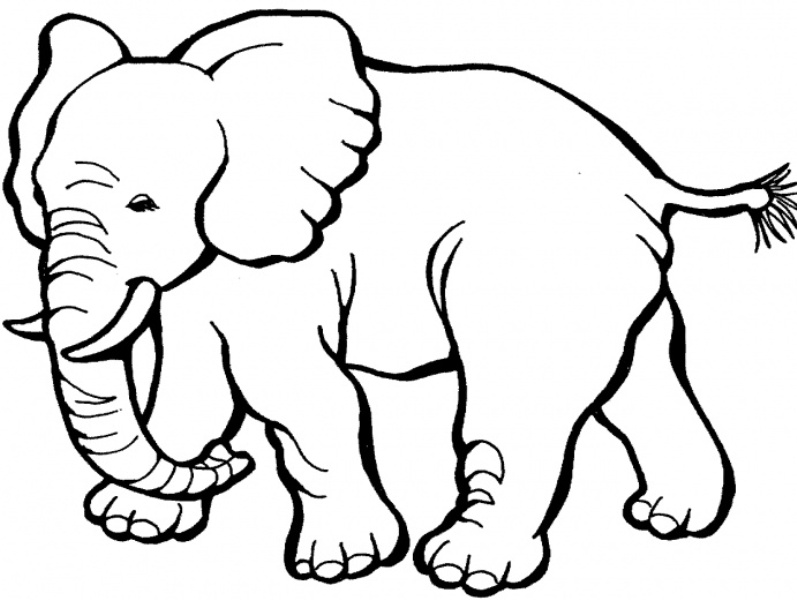 Mewarnai binatang gajah untuk anak TK