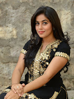 Poorna at RGG Success meet-cover-photo