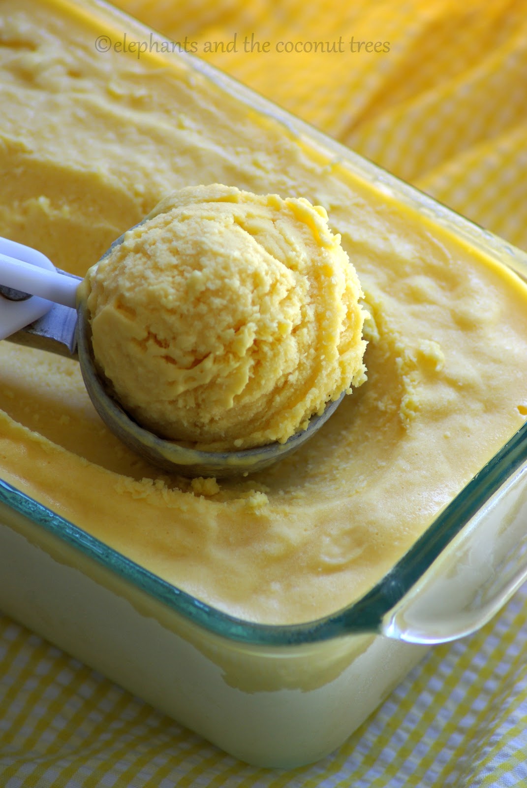 elephants and the coconut trees Mango ice cream / Egg less mango ice