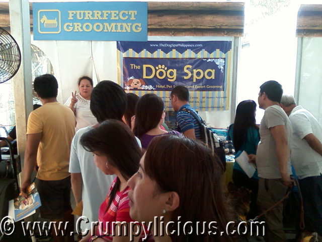 the dog spa the dog spa