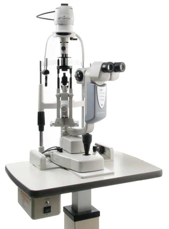 zona profesional blogger