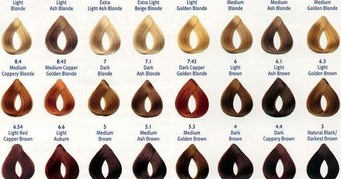 Level 5 Hair Color Chart