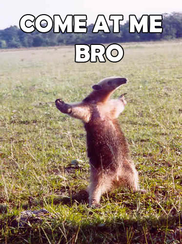 [Image: Come+at+me+bro+anteater.jpg]