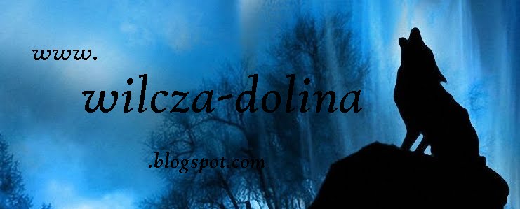wilcza-dolina.blogspot.com