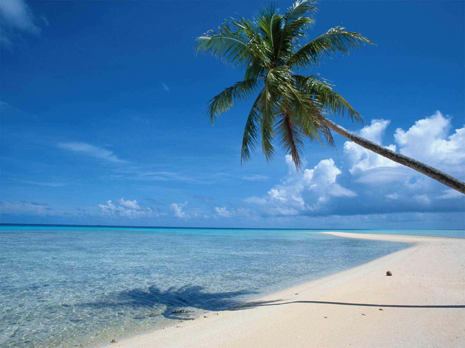 Beautiful Beach Desktop Beautiful Beach Desktop