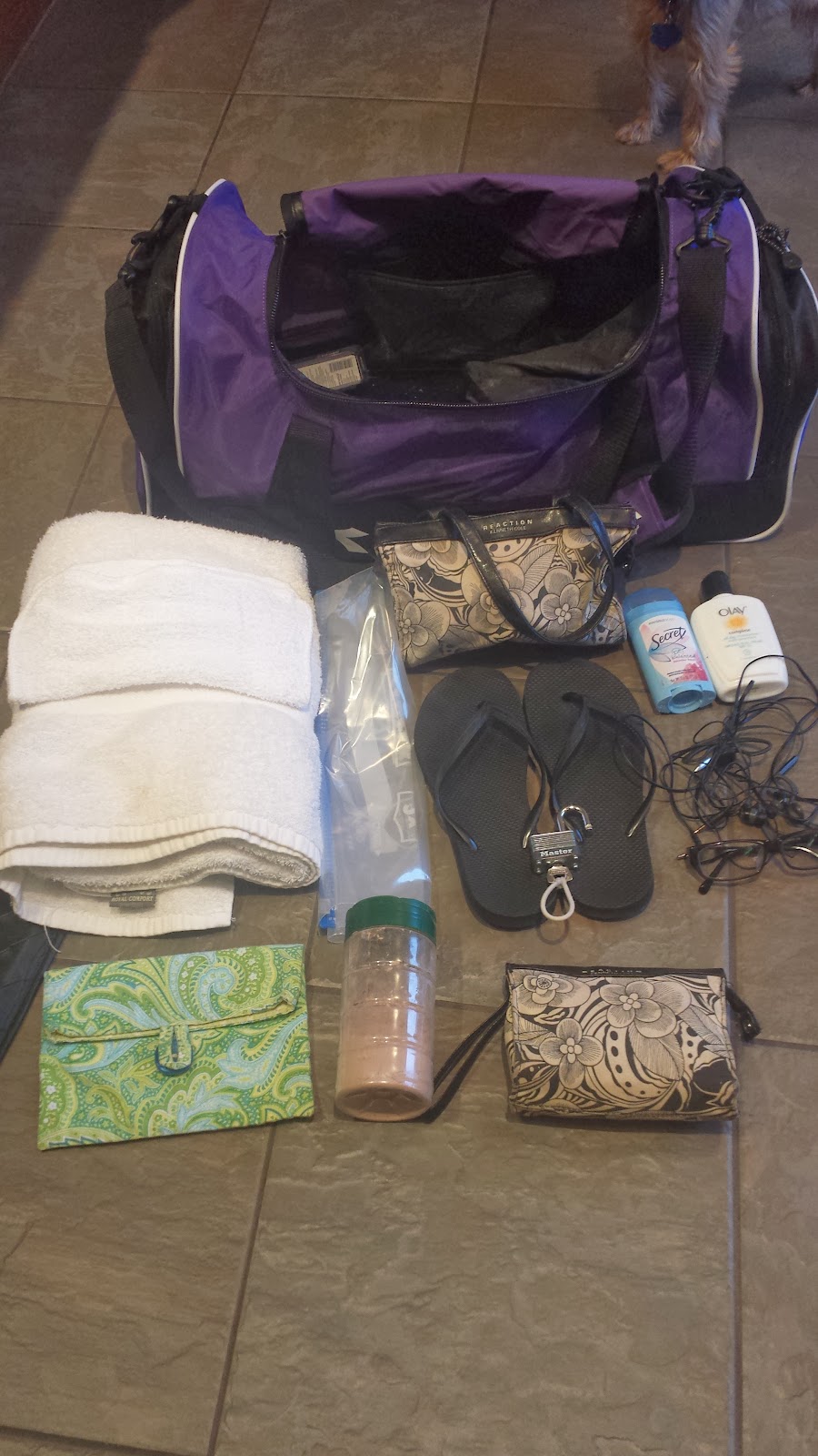 Kelly the Culinarian How to Pack the Perfect Gym Bag