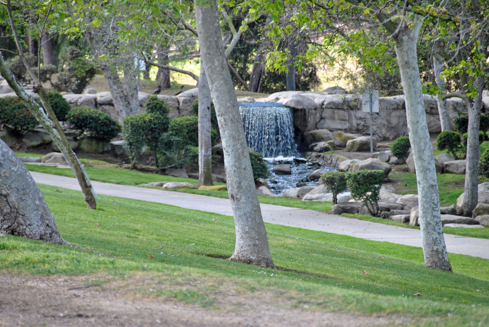 Jaha's World Hahn Park Los Angeles