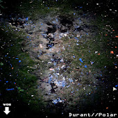 Durant-Polar
