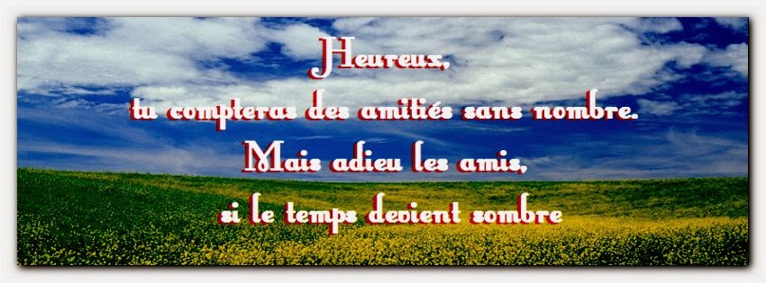 Poeme Amour Poesie Et Citations Citation D Amitie Qui Nous Manque