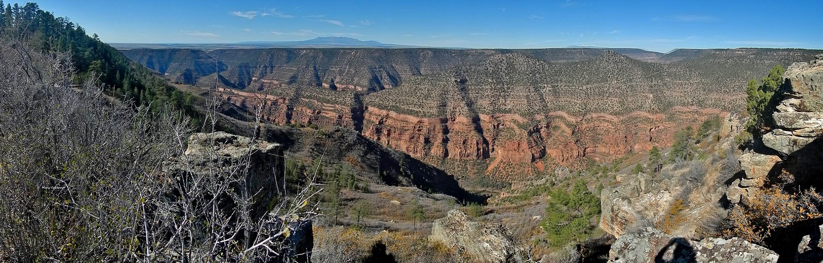 The Southwest Through Wide Brown Eyes Dolores Canyon Overlook via Dove