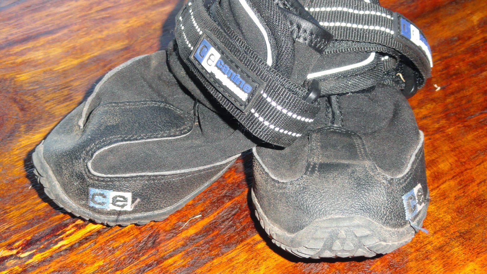 3 Dog BlogA Boxer Adventure Degenerative Myelopathy