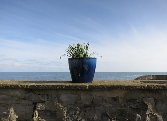 Ceramic Pot on Wall by Sea Containing Leaves of Dead Spring Flowers.