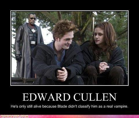 Blade-And-Vampires-harry-potter-vs-twilight-13458173-480-410.jpg