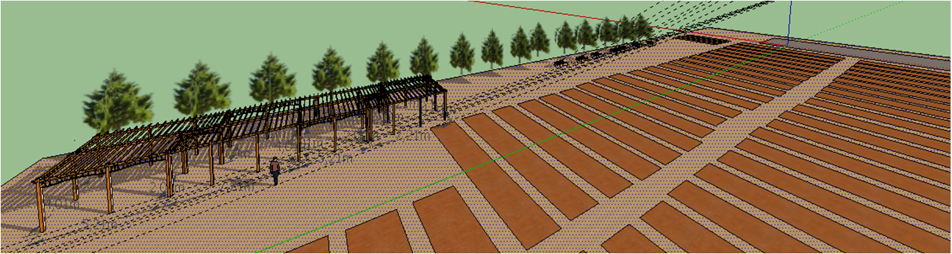 Diseño Patio 2
