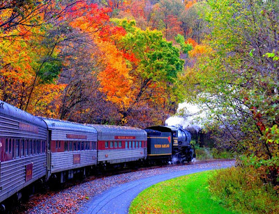 Train and Autumn - Tren en el Otoño