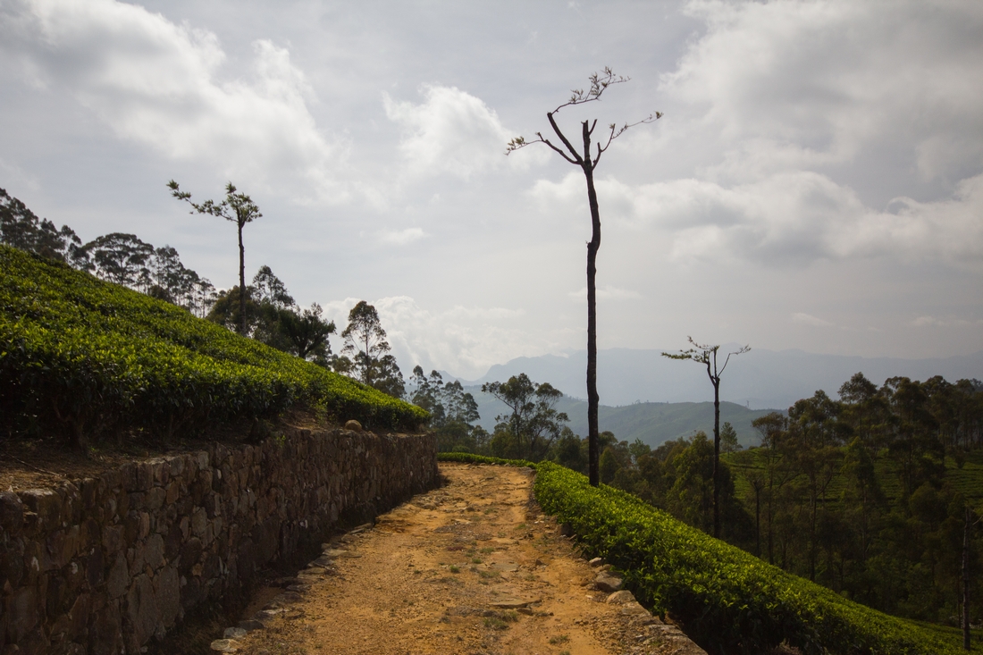 Hill Country Haputale Sri Lanka