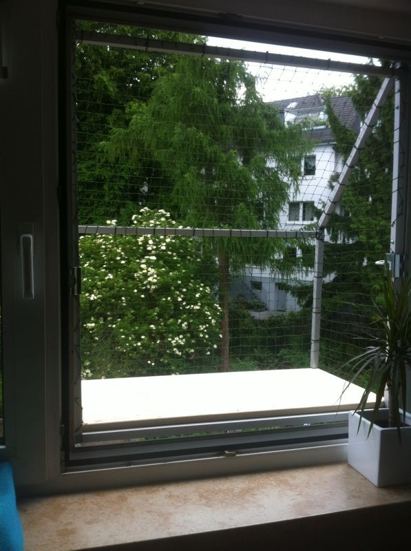 katzenschutznetz fenster