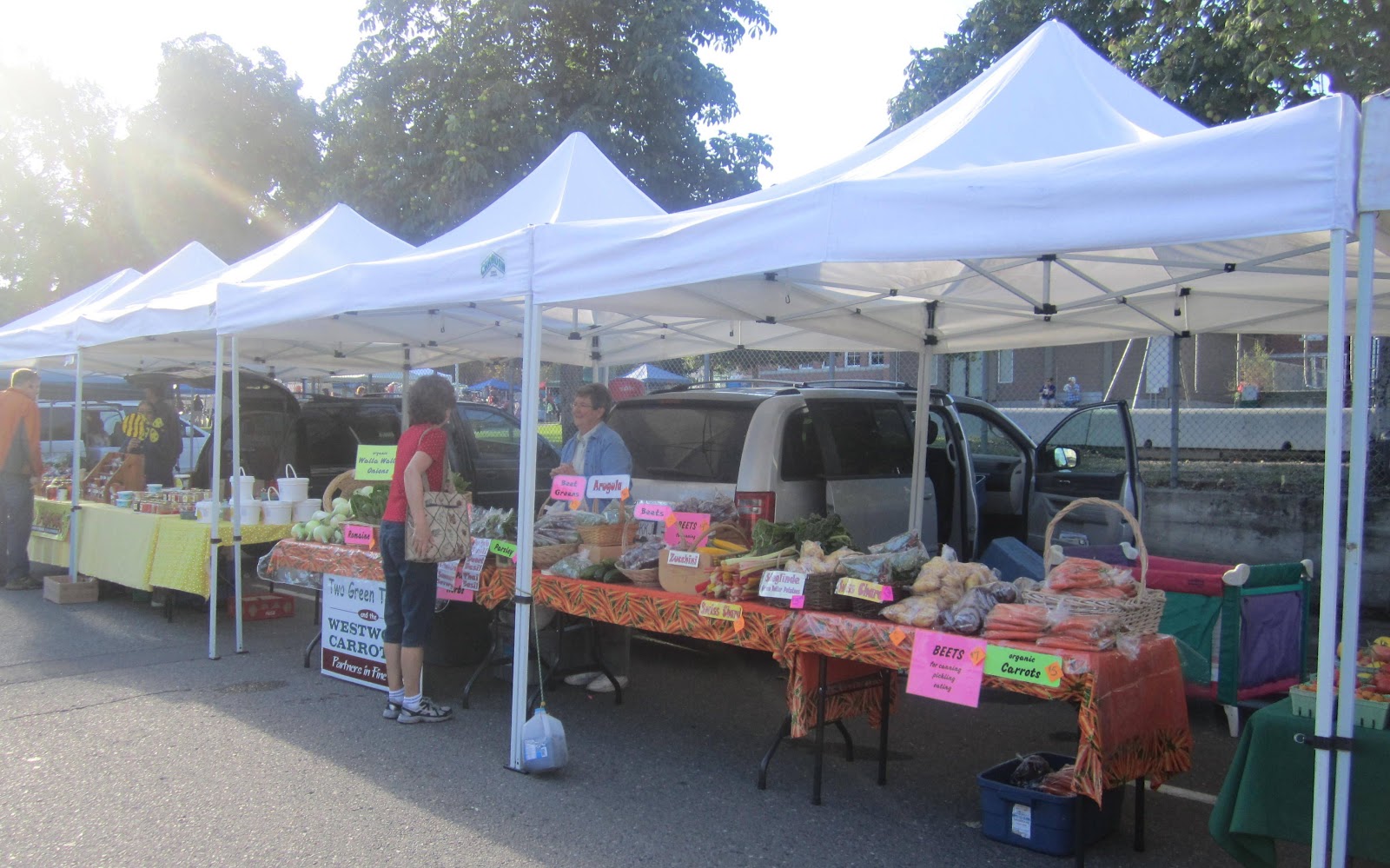 Smith and Ewe, fibre dyer and handspinner Smith and Ewe at Kamloops