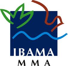 Acesse o site oficial do Ibama