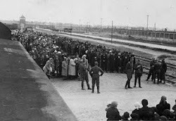 Entering the Concentration Camps