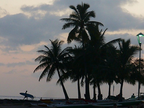Waikiki surfer sunset Hawaii palm trees