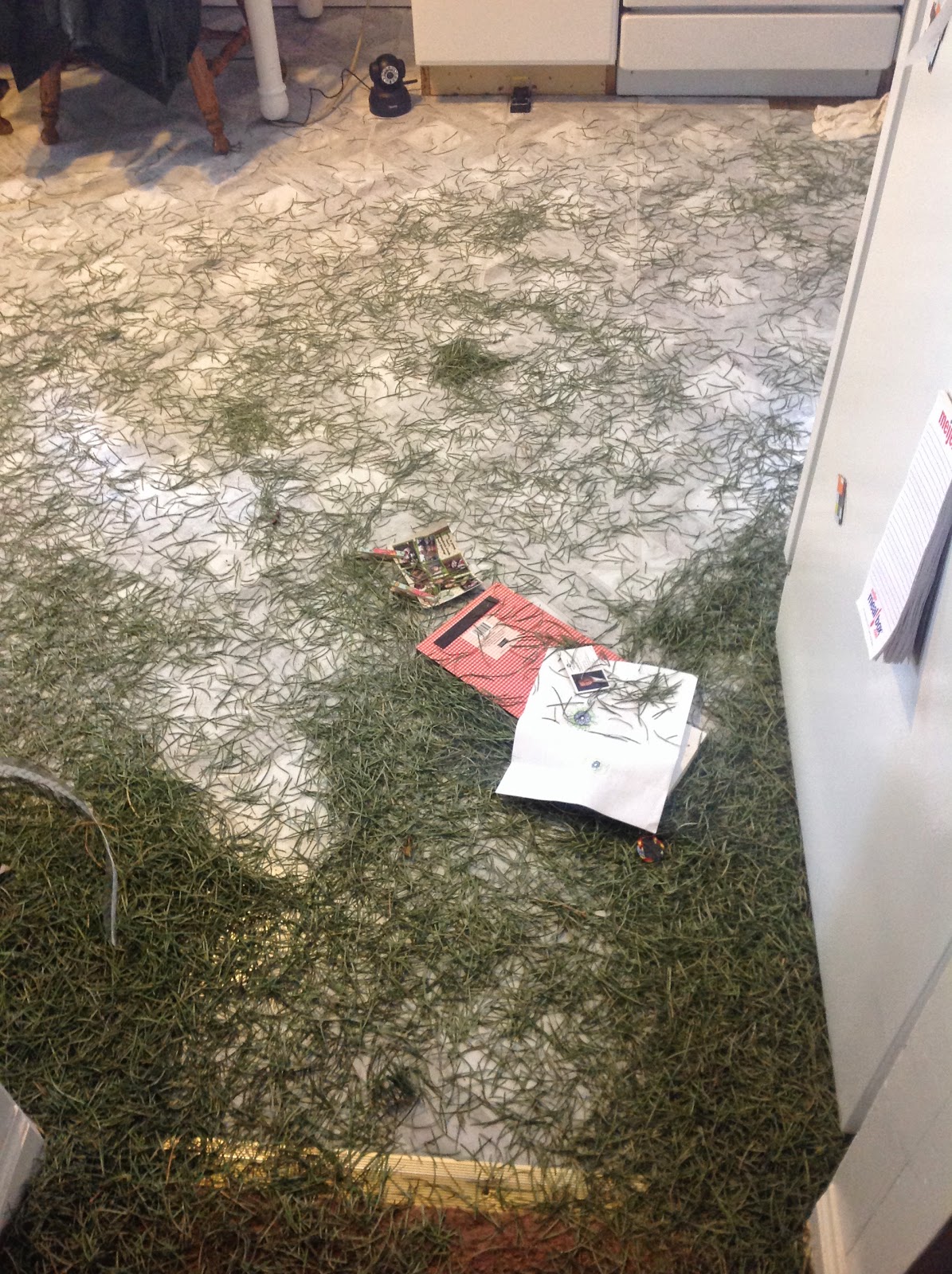 Cynicism and Butterflies Why You Should Take Your Christmas Tree Down