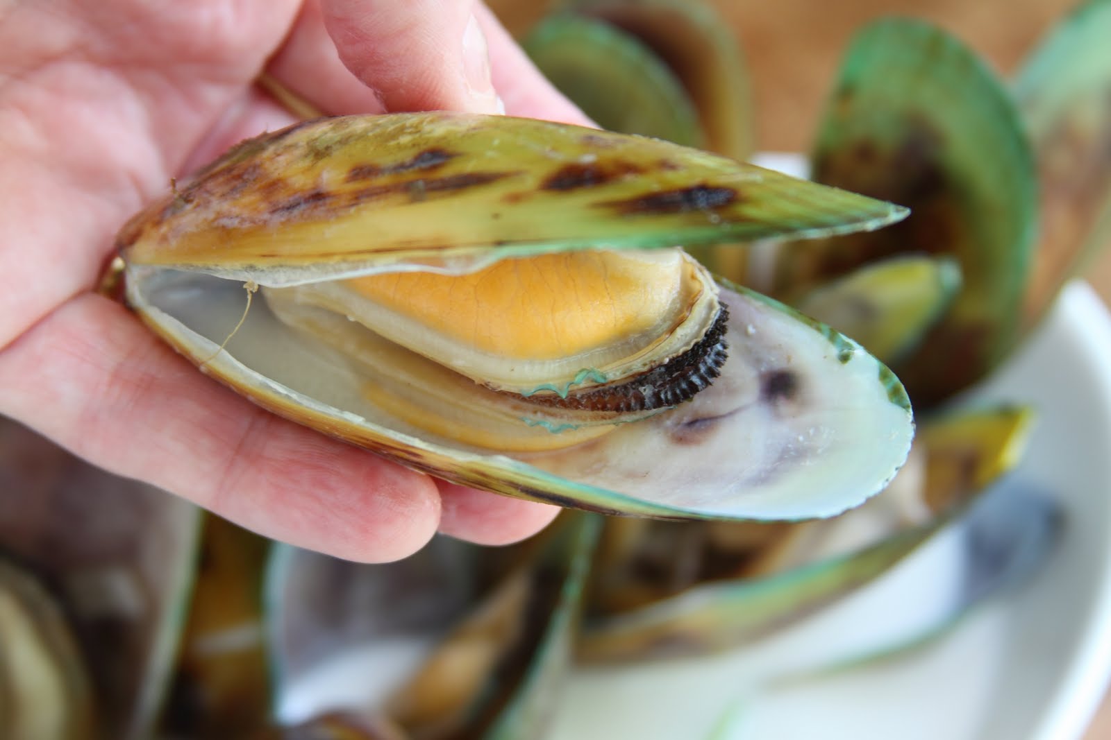 ShowFood Chef Mussels in Coconut Milk and Lime Simple Saturday