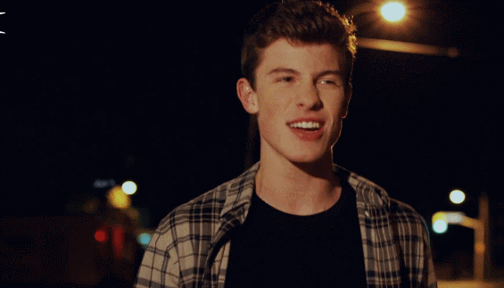 VJBrendan.com: Shawn Mendes - 'Show You' Lyric Video