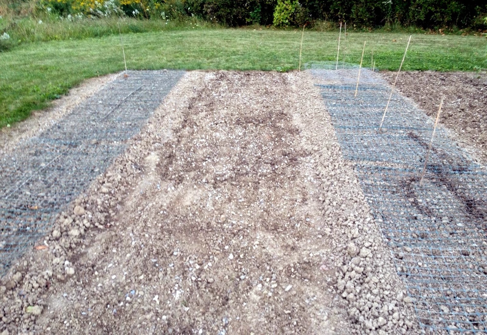Seeding a Lawn on Gravelly Soil Turf King