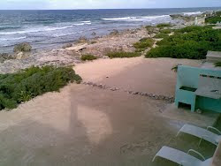 Sunny backyard with loungers, BBQ, outdoor shower. Shady patios & balcony. Chairs, tables, hammocks