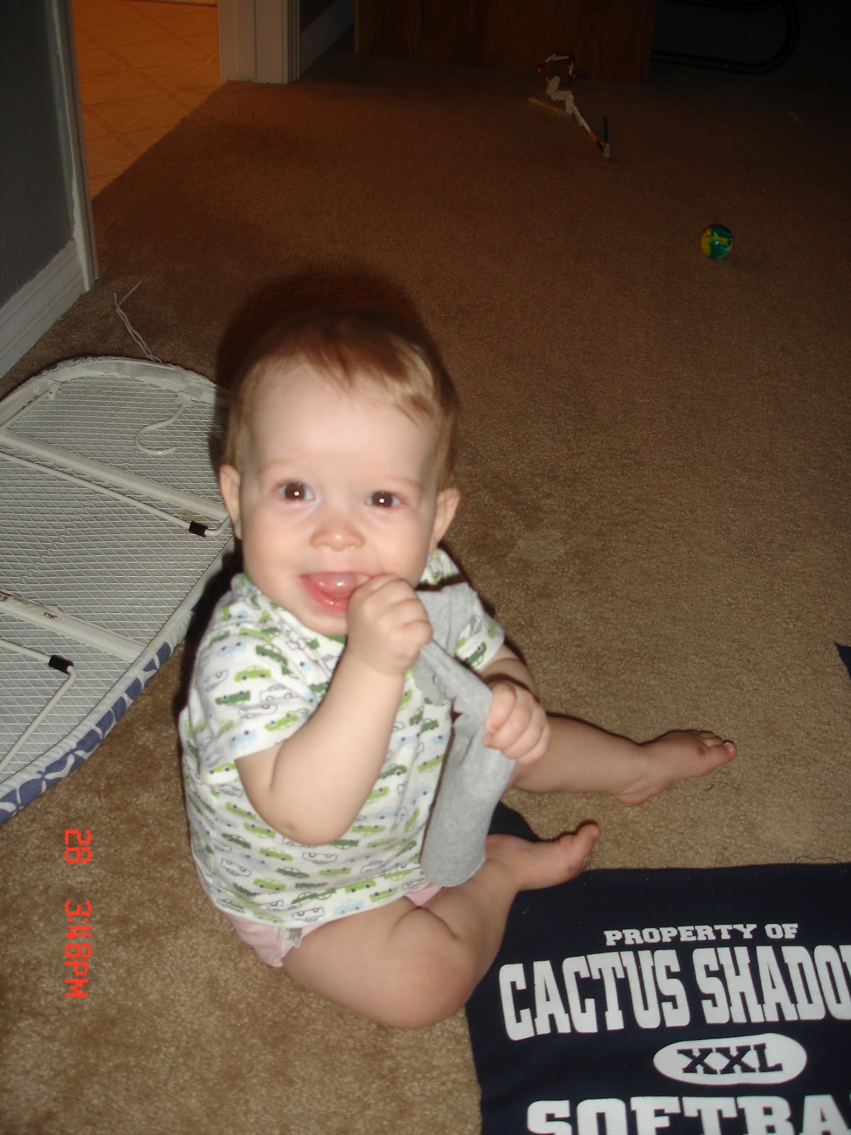 Alex Haralson TShirt Quilt How to Make Your Own