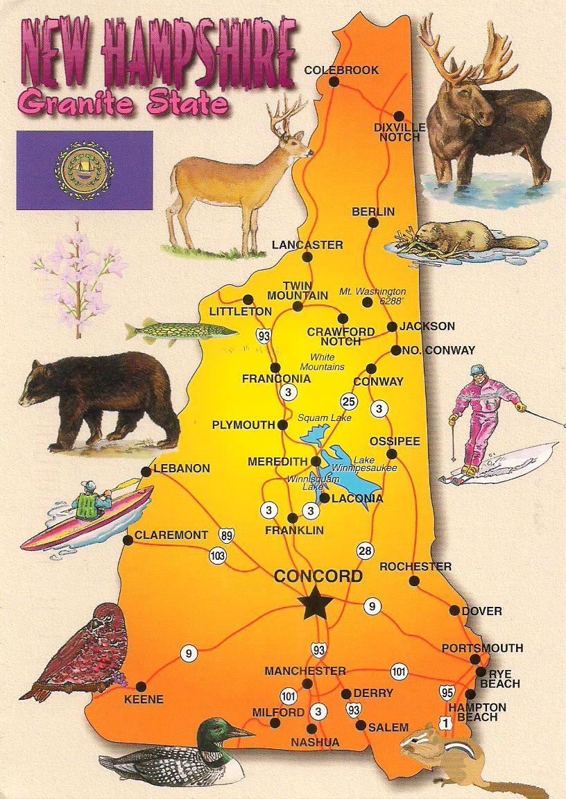 More POSTCARDS & STAMPS USA Map New Hampshire