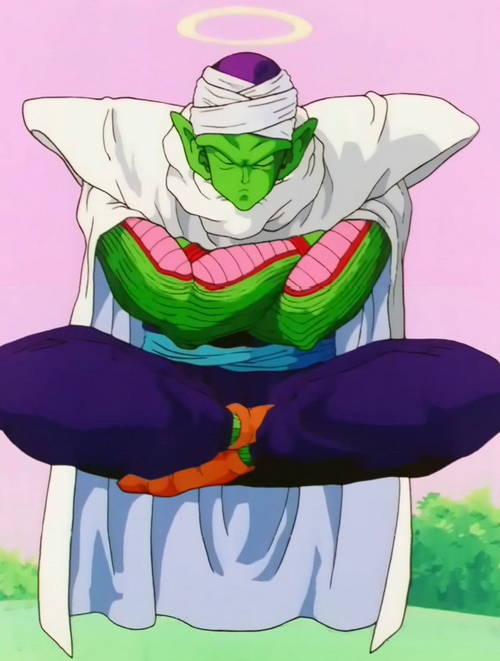 Neko Random: My Top Ten Dragon Ball Characters #5: Piccolo Jr.