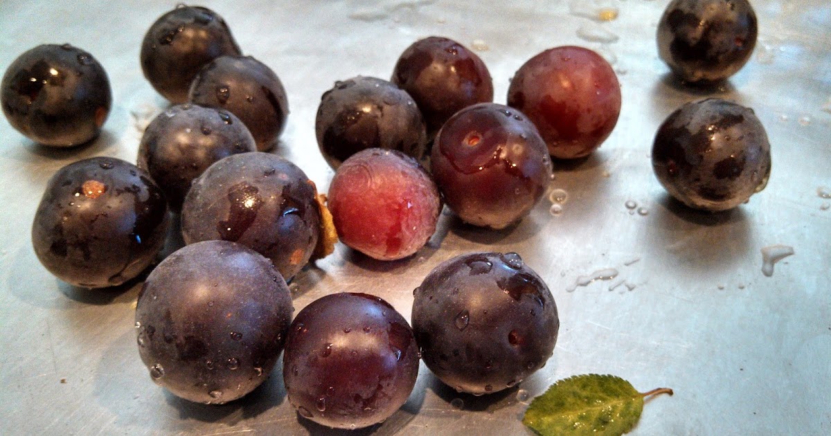 Ladder of Mercy Making LowSugar Plum Jam