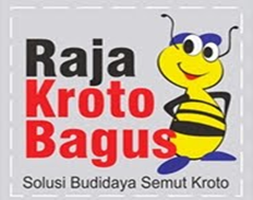 Ternak Kroto | Budidaya kroto Rumahan  | Bibit kroto 