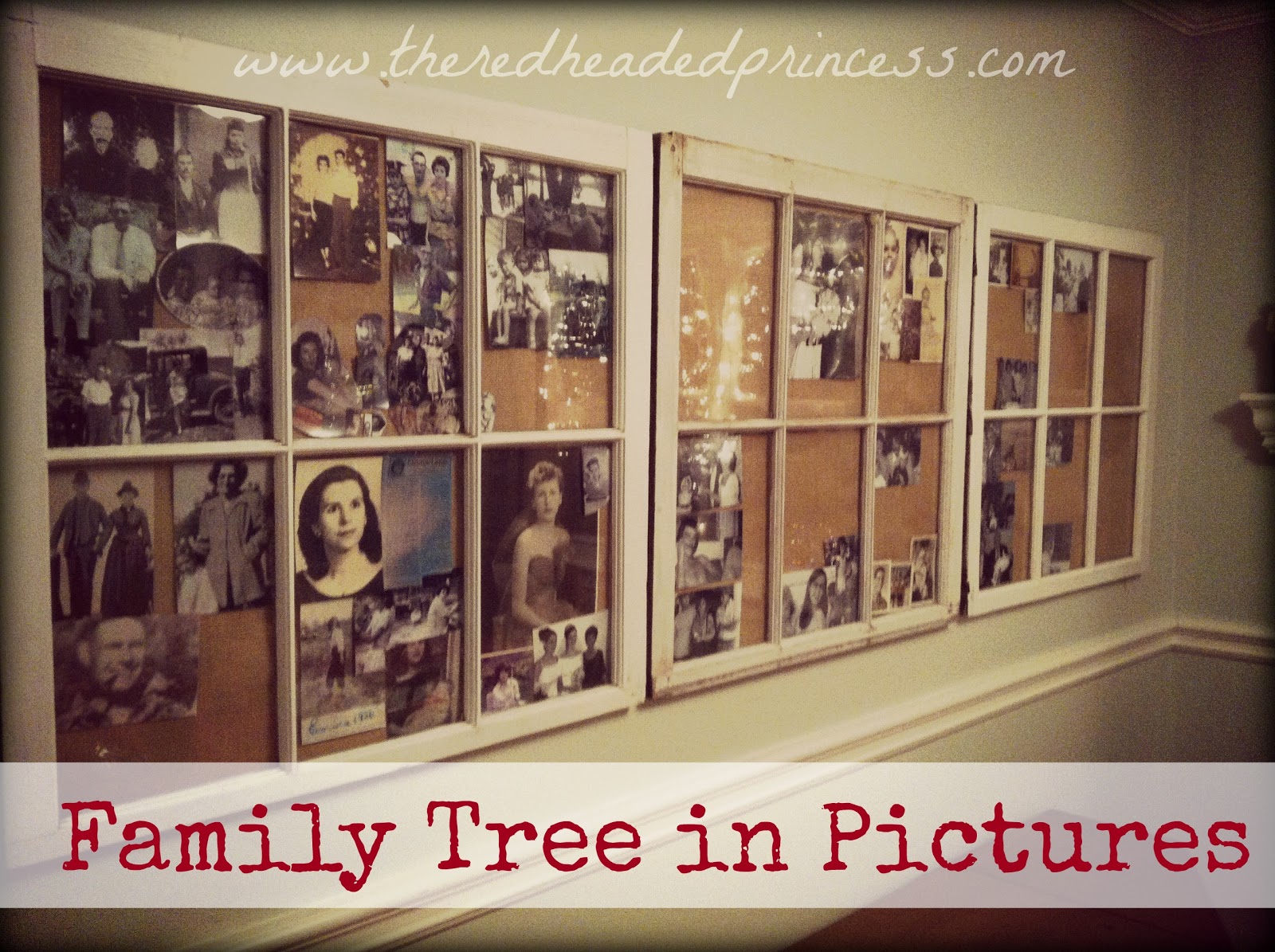 Family Tree in Pictures