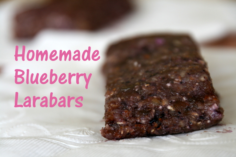 The Sweet {Tooth} Life Homemade Blueberry Larabars