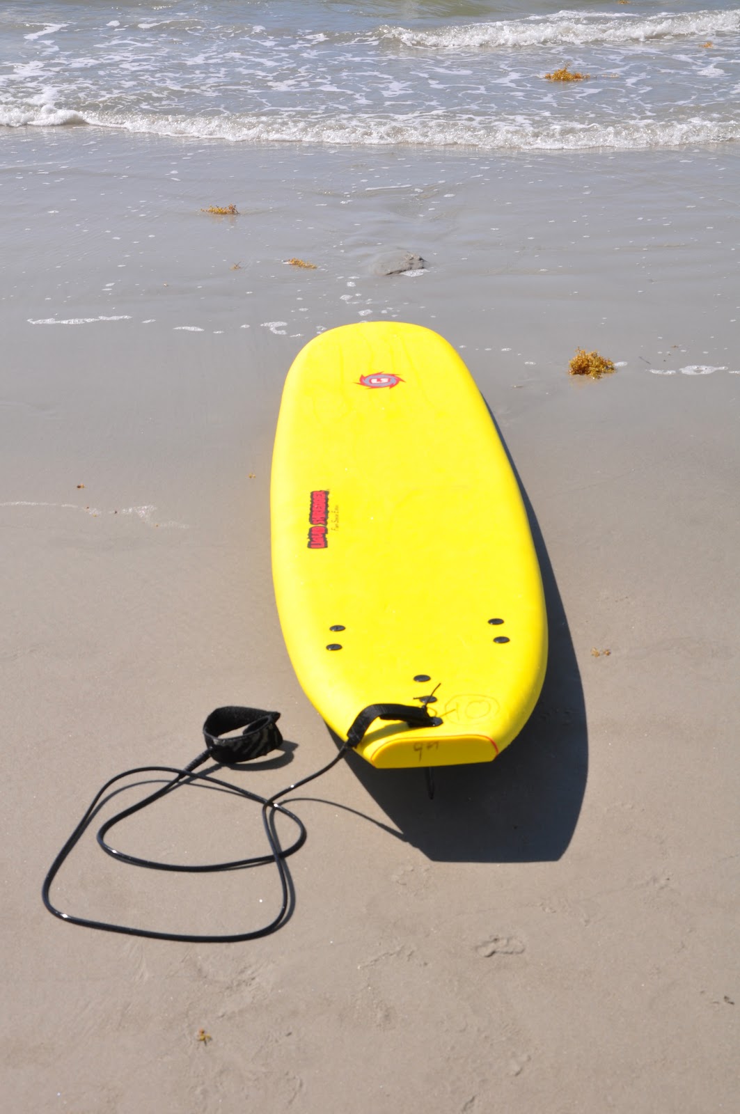 Atlantic Paddle Surfing Paddleboarding and Surf Rentals/lessons at the