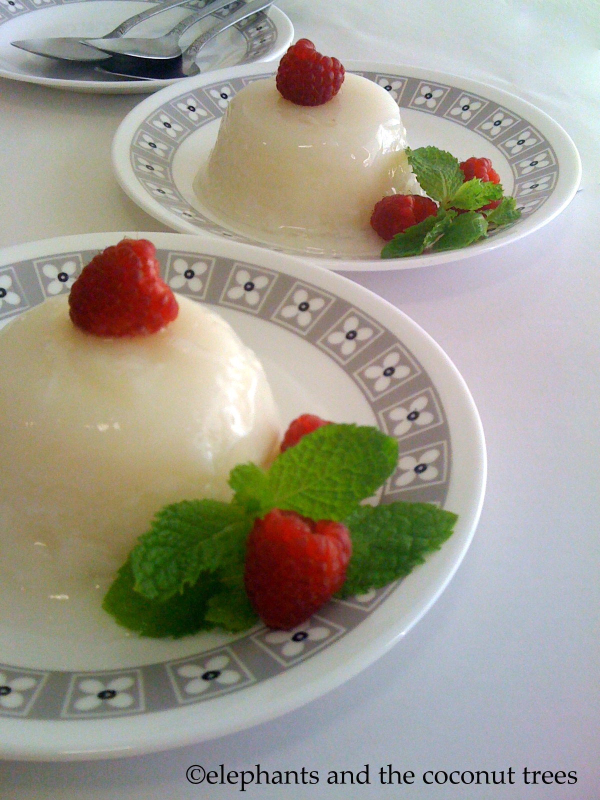 elephants and the coconut trees Elaneer pudding / Kariku / Tender