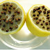 *طرق لطرد الناموس والذباب بالأعشاب الطبيعية:- *طرق لطرد الناموس والذباب بالأعشاب الطبيعية:-