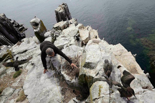 Observando a las aves en los acantilados de Latrabjarg, Islandia