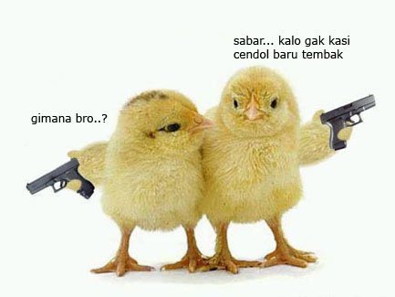 Numpang Nyampah Agresif Pasif